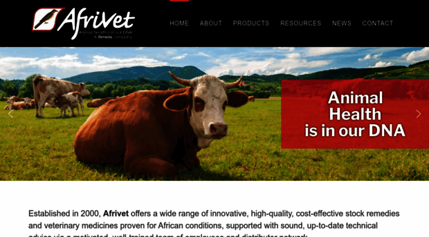 afrivet.co.za