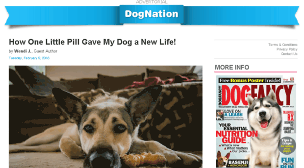 agingdogcare.com