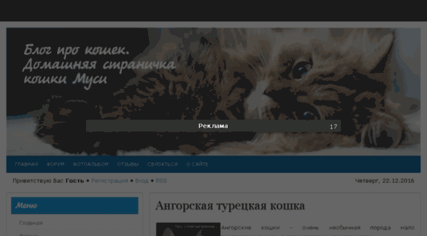 alianscat.org.ua
