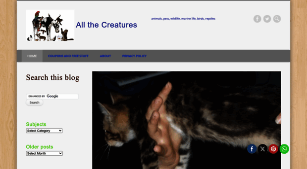 allthecreatures.org
