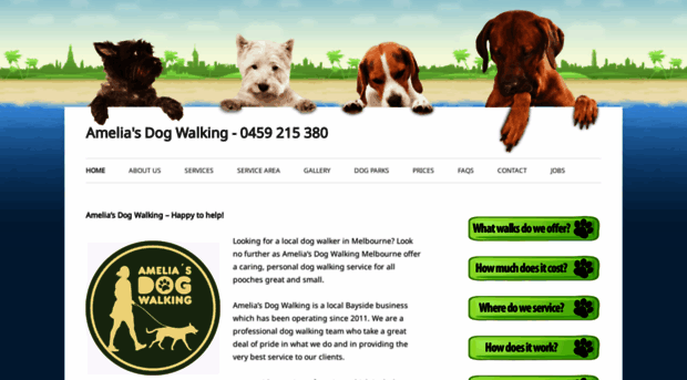 ameliasdogwalking.com.au