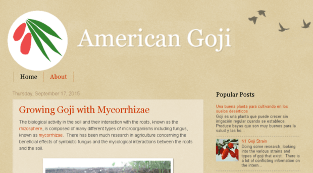 american-goji.com