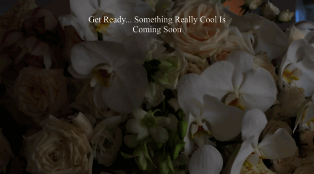 amoreflowers.com.au