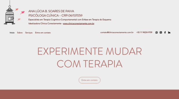 anapsi.com