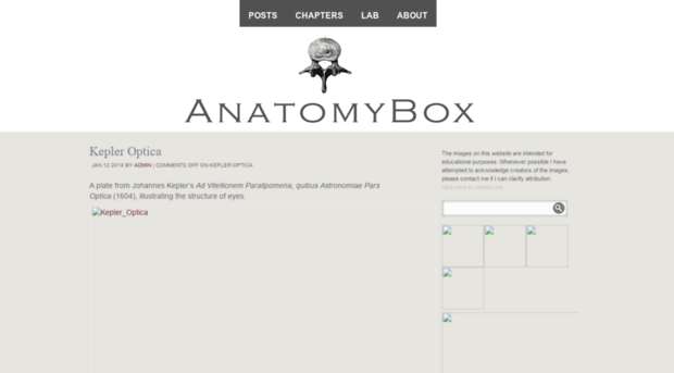 anatomybox.com
