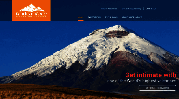 andeanface.com