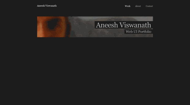 aneesh.carbonmade.com