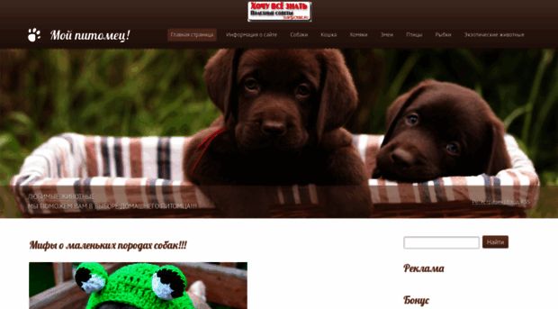 anim.ucoz.net