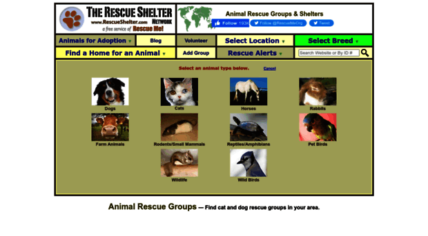 animal.rescueshelter.com