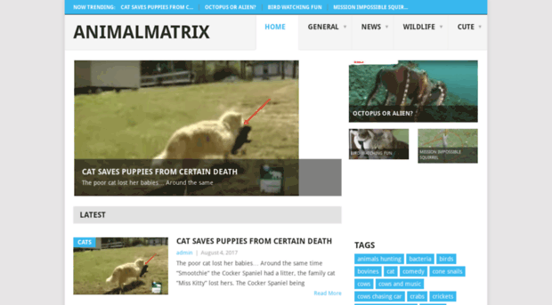 animalmatrix.com