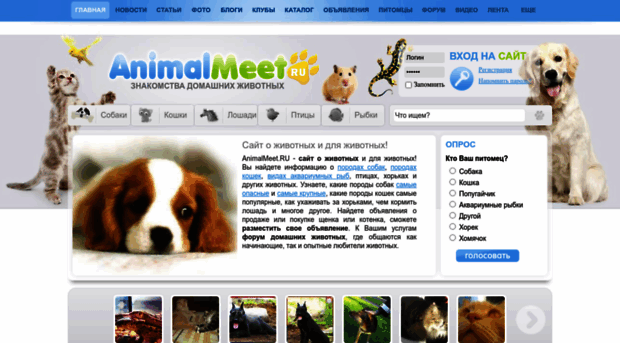 animalmeet.ru