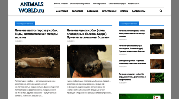 animals-world.ru