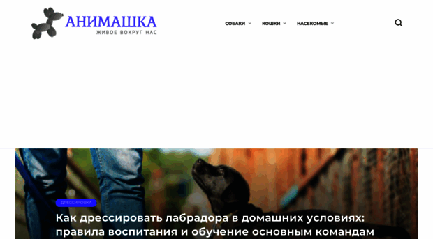 animashka.info