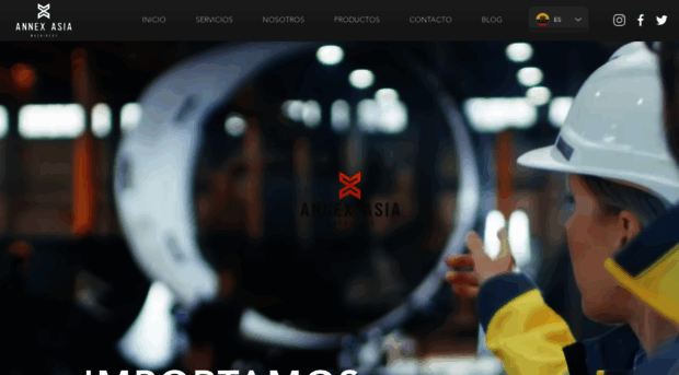annexasia.com