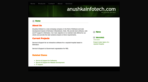 anushkainfotech.com