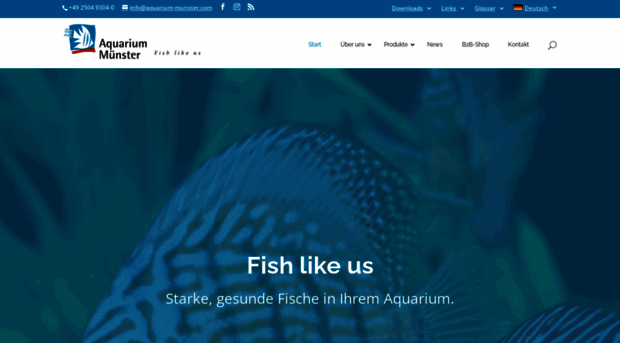 aquarium-munster.com