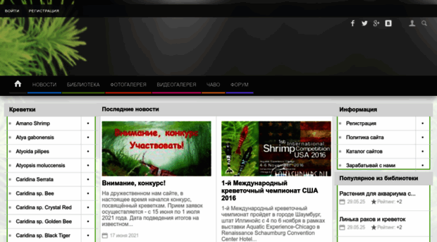 aquashrimps.ru
