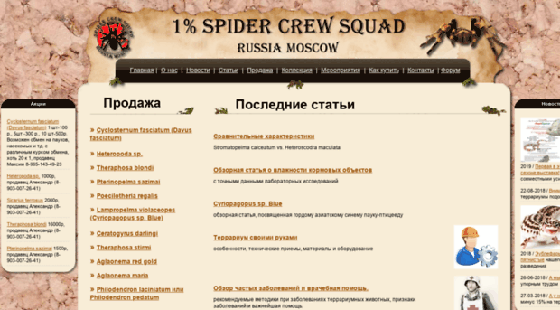 arachnomarket.ru