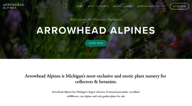 arrowhead-alpines.com