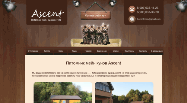 ascent71.ru