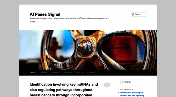 atpase-signal.com