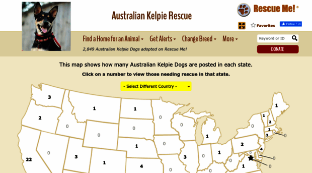 australiankelpie.rescueme.org