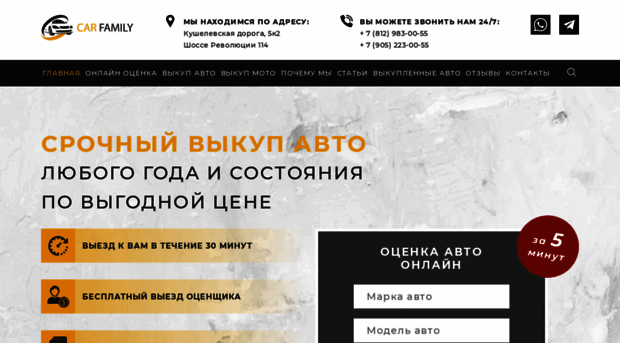 auto-electronic.ru