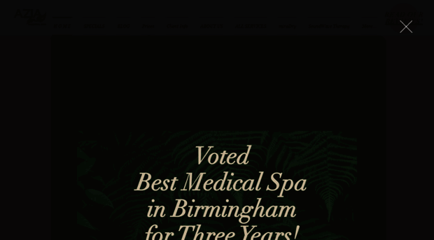 aziamedicalspa.com