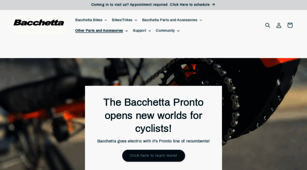 bacchettabikes.com