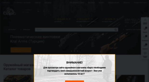 bars-guns.ru