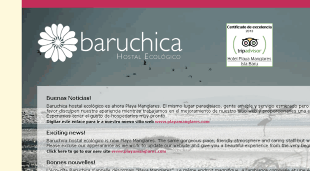 baruchica.com