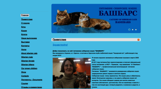 bashbars.nethouse.ua