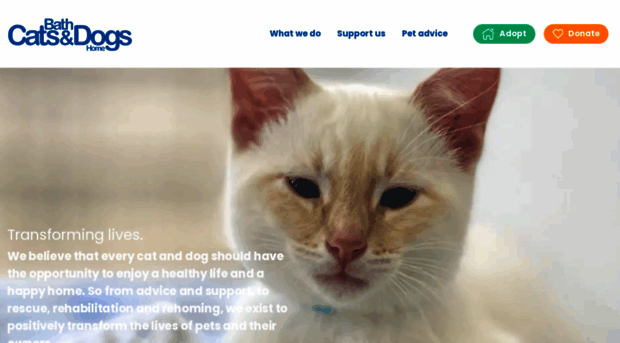 bathcatsanddogshome.org.uk