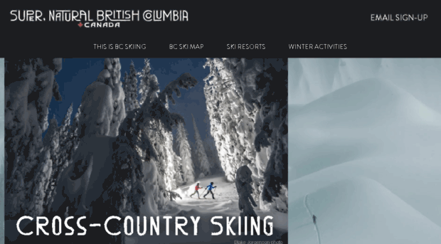 bcnordic.com