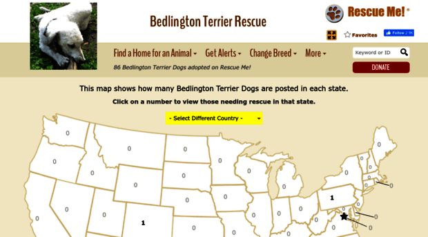 bedlingtonterrier.rescueme.org