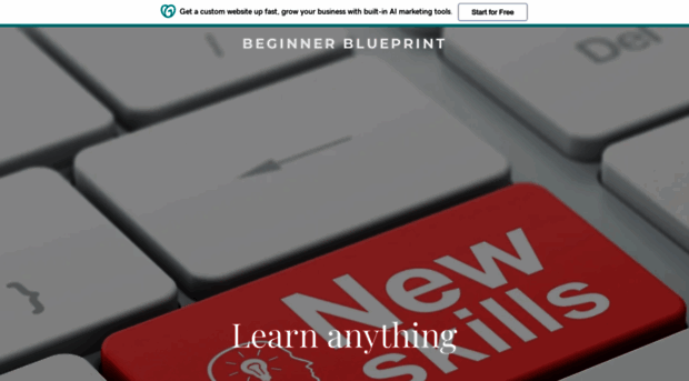 beginnerblueprint.com