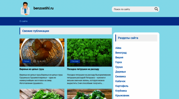 benzostihl.ru