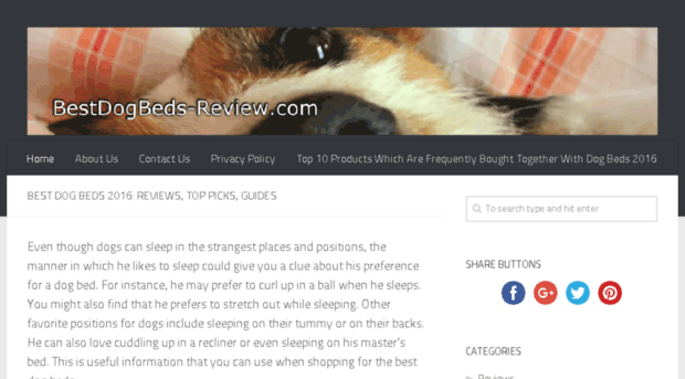bestdogbeds-review.com