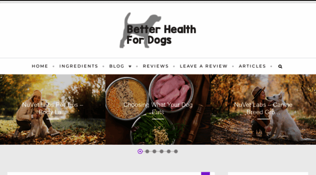 betterhealthfordogs.com