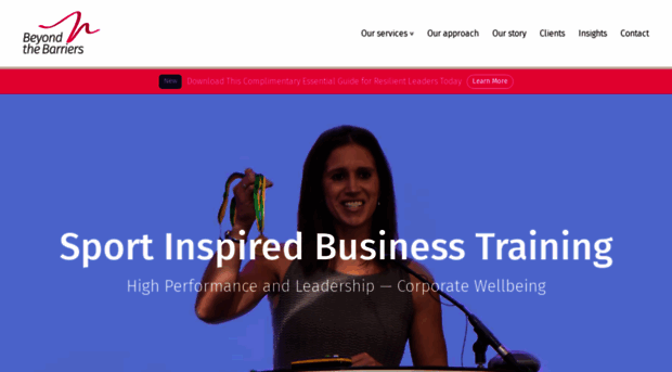beyondthebarriers.co.uk