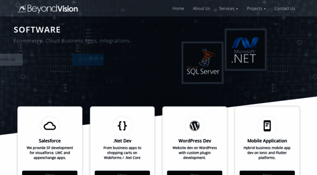 beyondvision.net