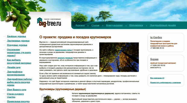big-tree.ru