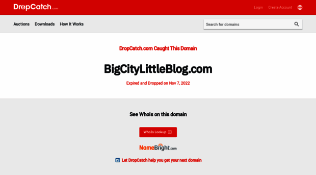 bigcitylittleblog.com