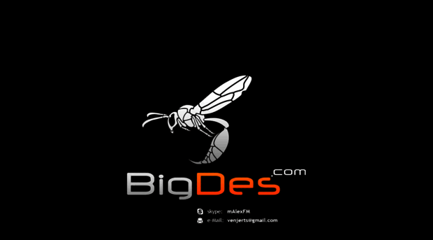bigdes.com
