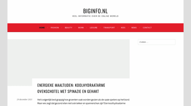 biginfo.nl