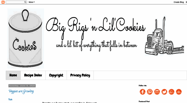 bigrigsnlilcookies.com