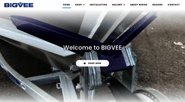 bigvee.com