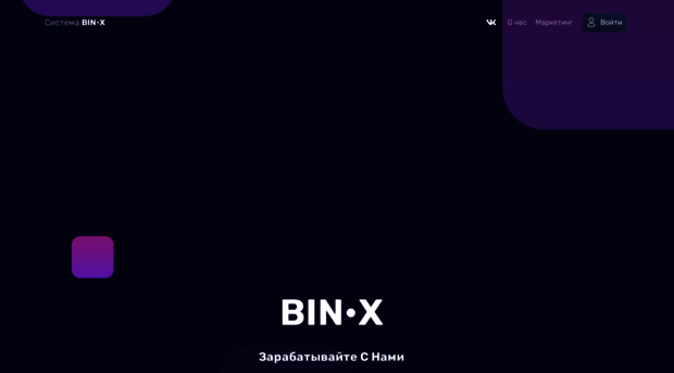 bin-x-system.pro