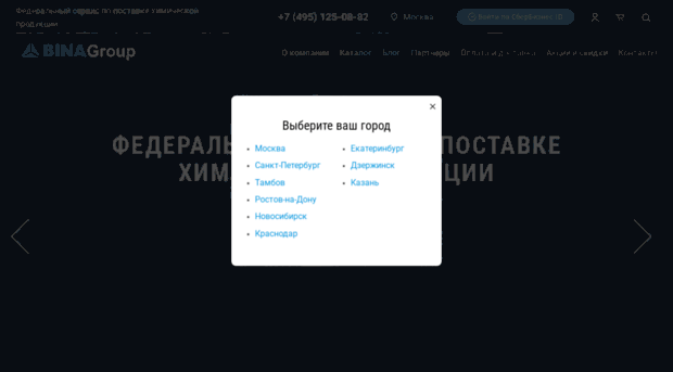 binagroup.ru