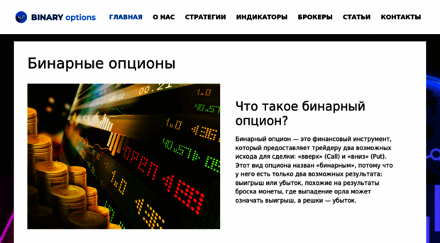 binary-optionss.com